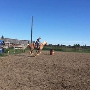 Meet your Posher, Ella